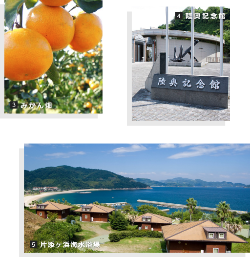 みかん畑、陸奥記念館、片添ヶ浜海水浴場