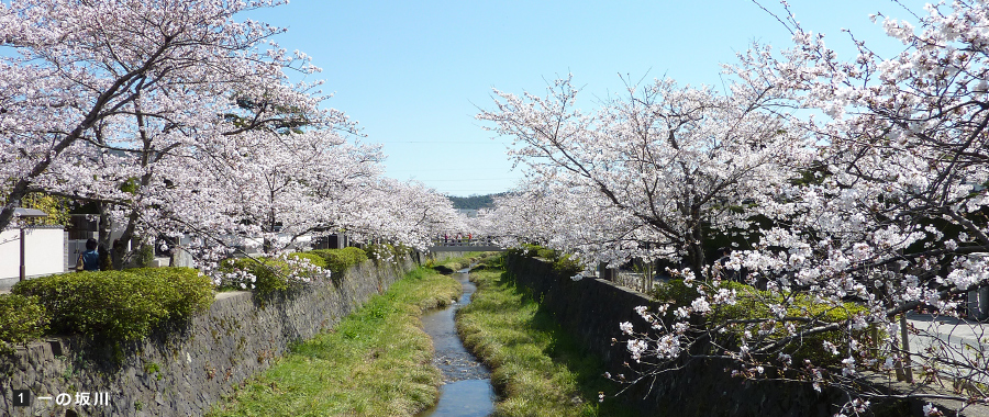 一の坂川