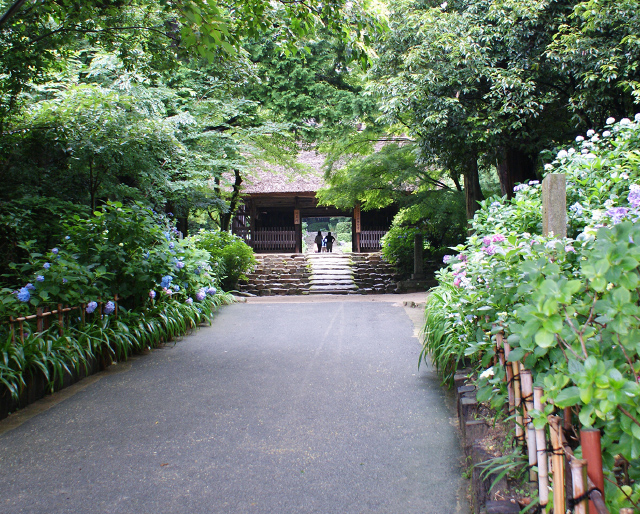 阿弥陀寺